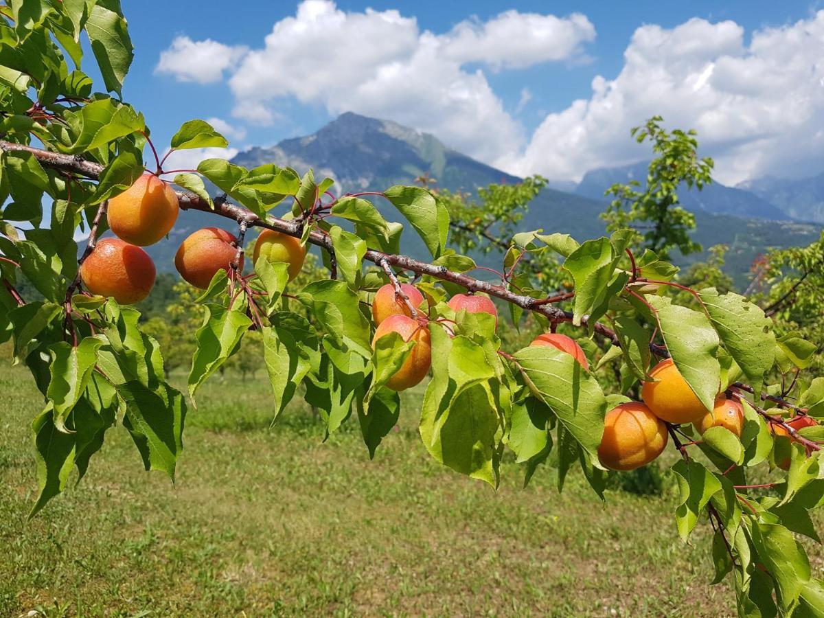 Ponte nellʼAlpi Agriturismo La Giasena المظهر الخارجي الصورة