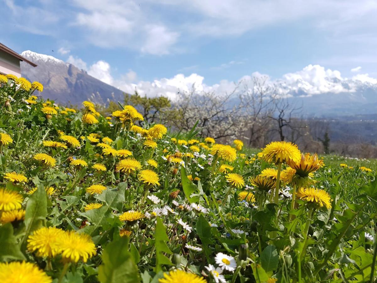 Ponte nellʼAlpi Agriturismo La Giasena المظهر الخارجي الصورة