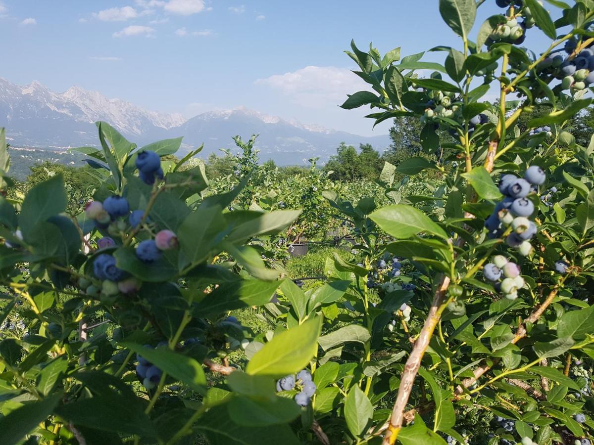 Ponte nellʼAlpi Agriturismo La Giasena المظهر الخارجي الصورة